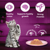 Whiskas Junior Salmon in Jelly Flavour Kitten (2-12 months) Cat Wet Food Cats-Wet Food Whiskas