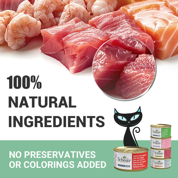 Schesir Tuna In Jelly with Shrimp Adult Cat Wet Food