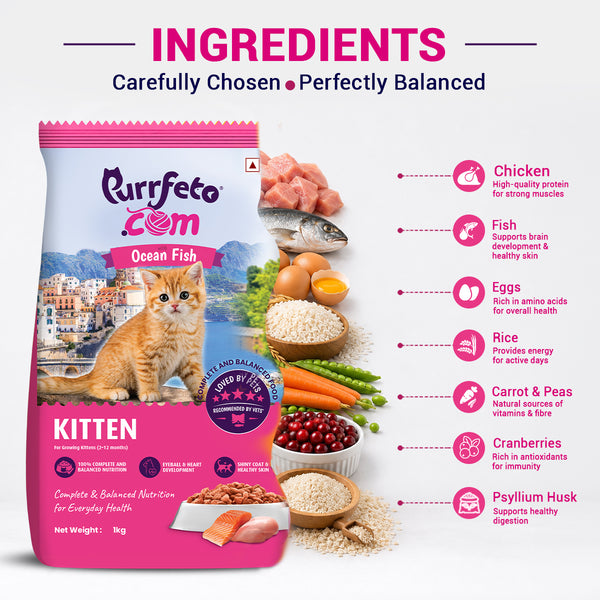 Purrfeto.com Ocean Fish Kitten Cat Dry Food