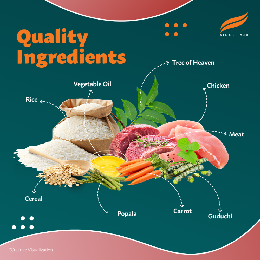 Himalaya Meat & Rice Healthy Pet Adult Dog Dry Food Dogs- Dry Food Himalaya