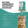 PetStrong Sardine & Mackerel and Seaweed in Gravy Cat Wet Food Combo Cats-Wet Food PetStrong