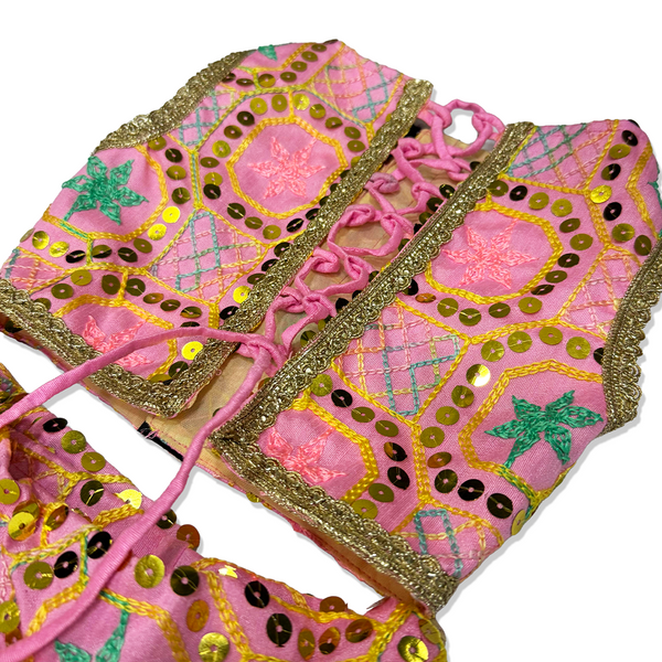 Pawsindia Traditional Desi Diva Lehenga Choli Set for Cats (Pink)