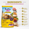 Purrfeto.com Chicken and Rice Adult Cat Dry Food Cats- Dry food Purrfeto