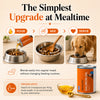 Drools Absolute Salmon Oil Syrup Supplement for Dogs Dogs-Health & Wellness Drools