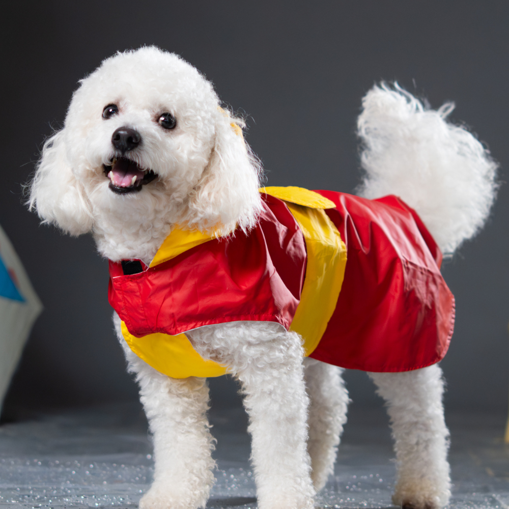Pet Set Go Splash Waterproof Raincoat for Dogs (Red/Yellow) Dogs-Clothing & Accessories Pet Set Go Dropship