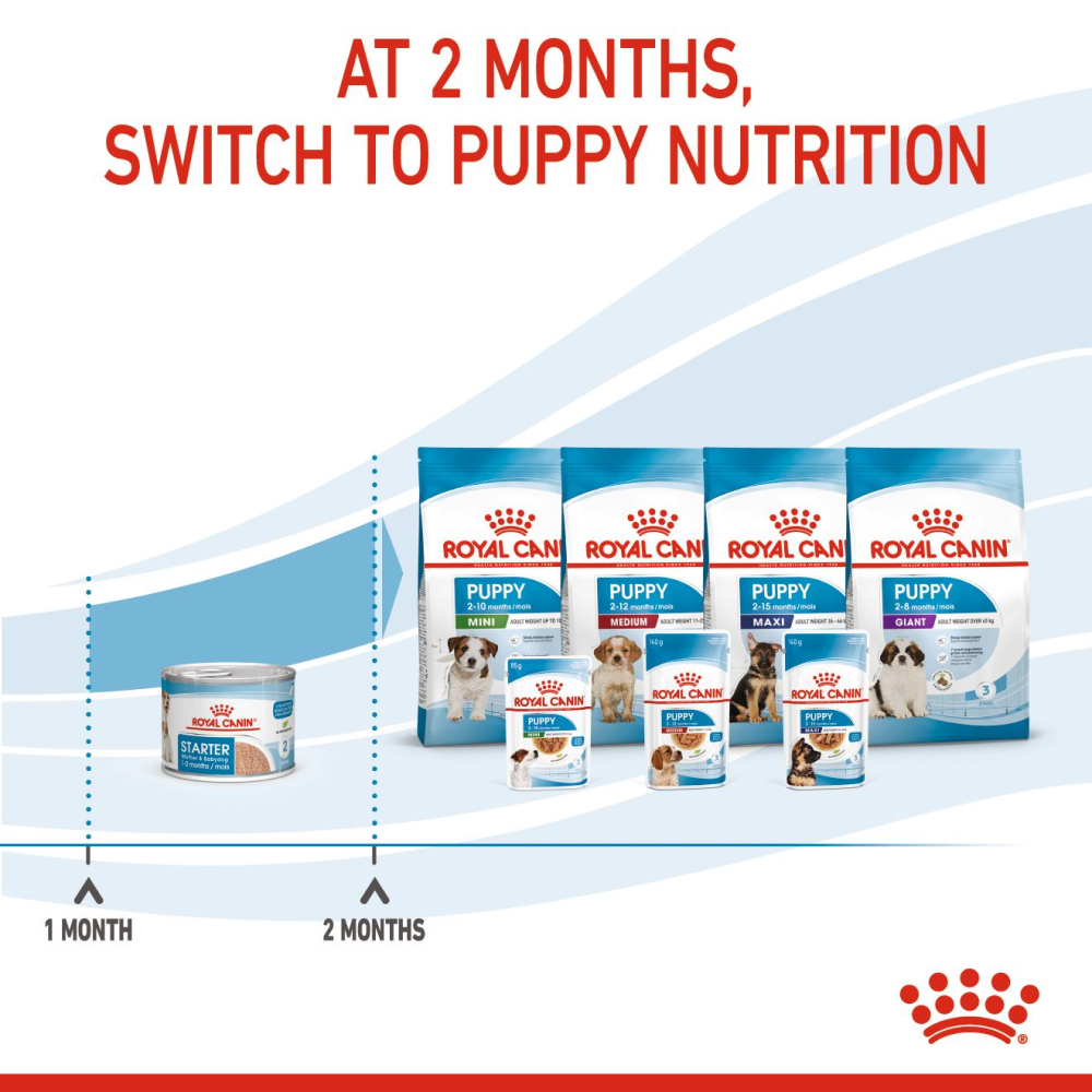 Royal Canin Mousse Mother and Baby Starter Dog Wet Food Dogs-Wet Food Royal Canin