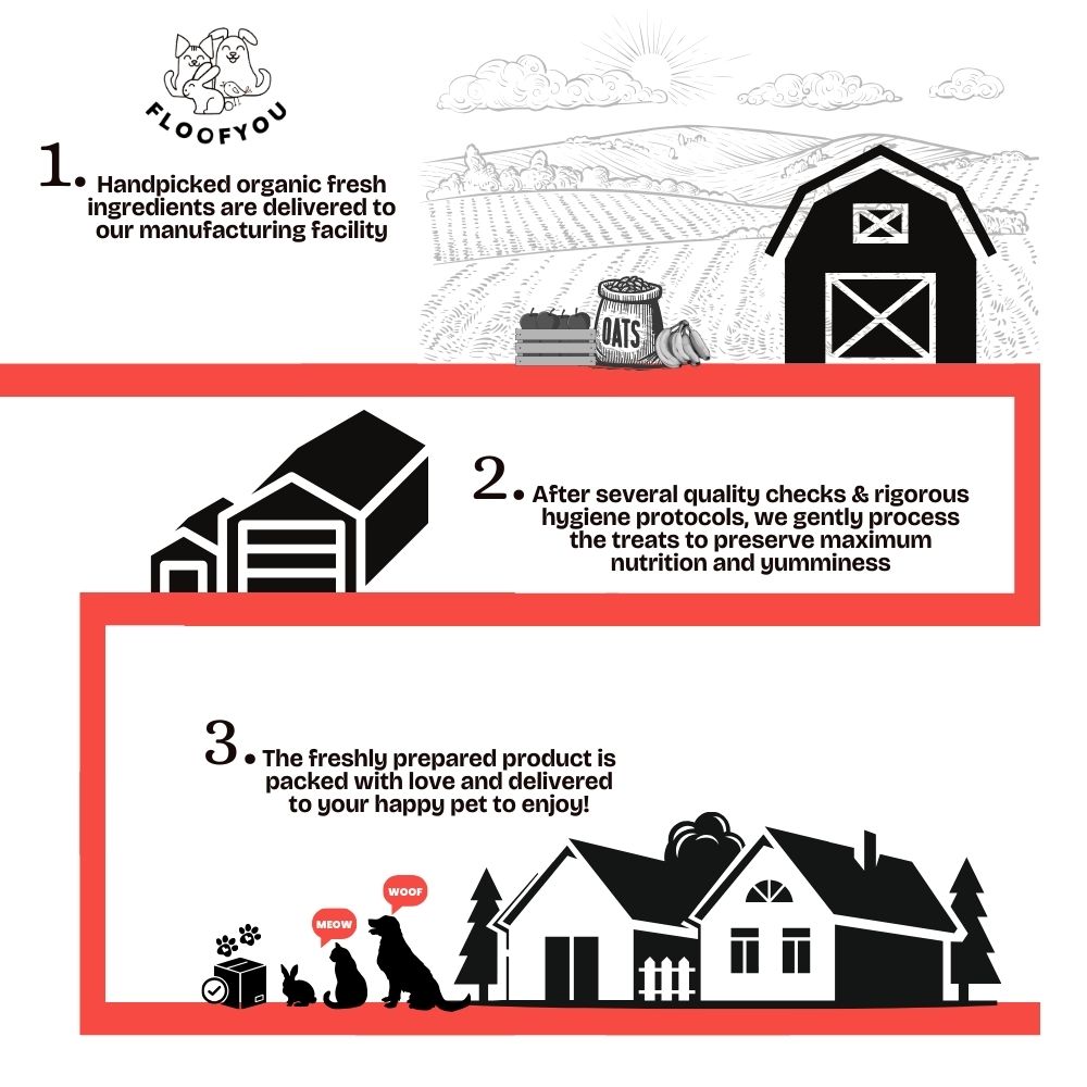 FloofYou Oven Baked Banana Apple Small Animal Treats Rabbits FloofYou