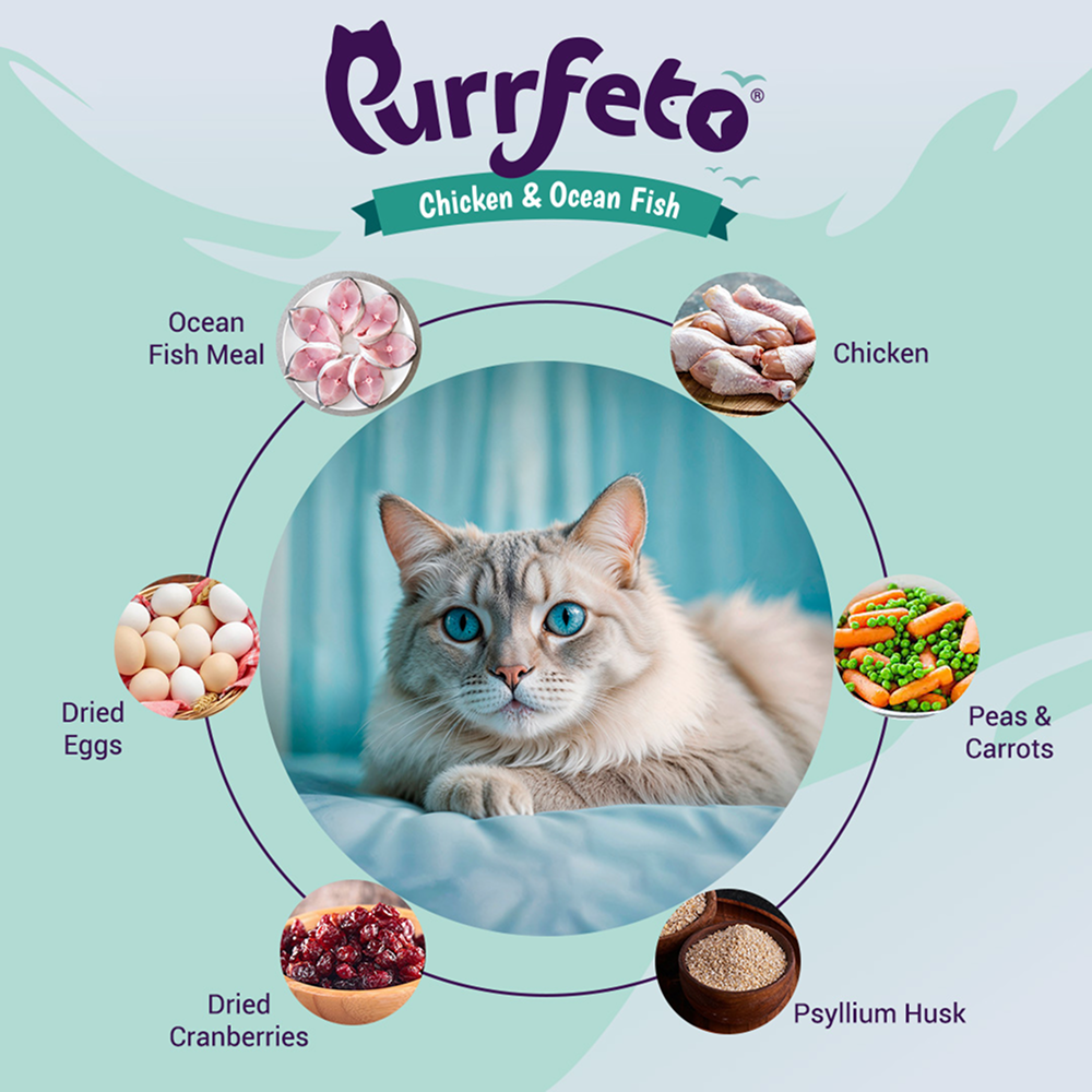 Purrfeto Chicken and Ocean Fish Cat Dry Food Cats- Dry food Purrfeto