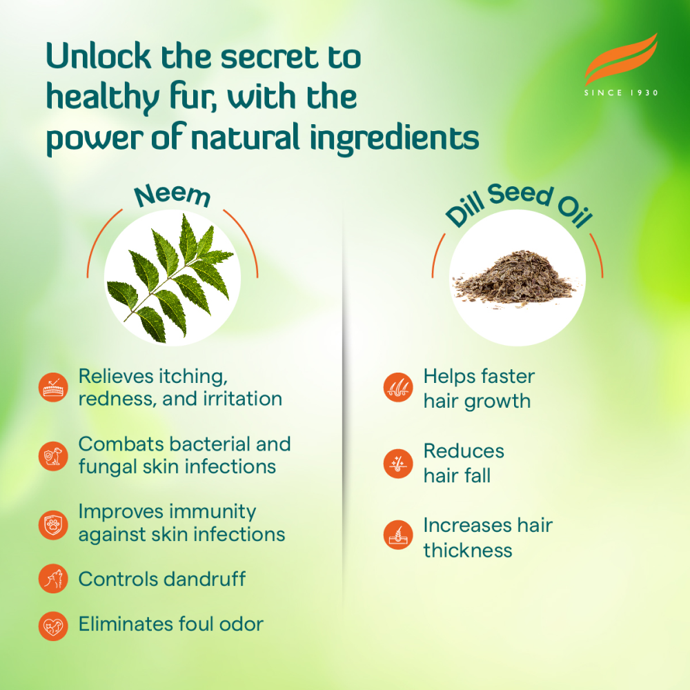Himalaya Erina Coat Cleanser Shampoo for Dogs and Cats Both-Grooming Supplies Himalaya
