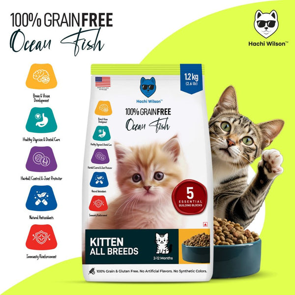 Hachi Wilson Premium Ocean Fish Kitten Dry Food