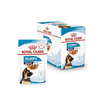 Royal Canin Maxi Puppy Dog Wet Food Dogs-Wet Food Royal Canin