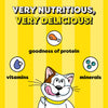 Temptations Tasty Chicken Flavour Cat Treats