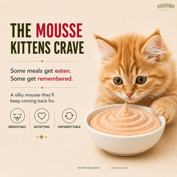 Signature Grain Zero Salmon Mousse Kitten Cat Wet Food