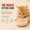 Signature Grain Zero Salmon Mousse Kitten Cat Wet Food Cats-Wet Food Signature