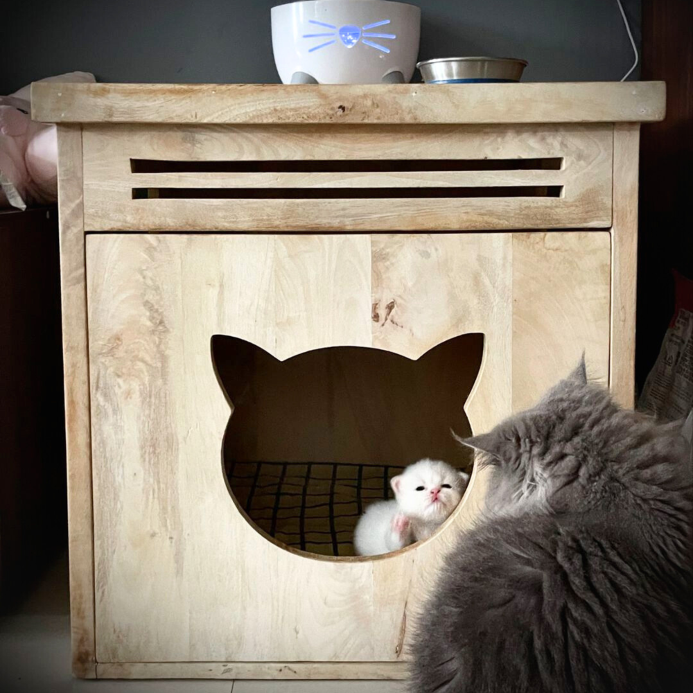 FurryLiving Meraki Cabinet with Cushion for Small Dogs and Cats (Oak/Brown Cushion) Both-Furniture FurryLiving Dropship