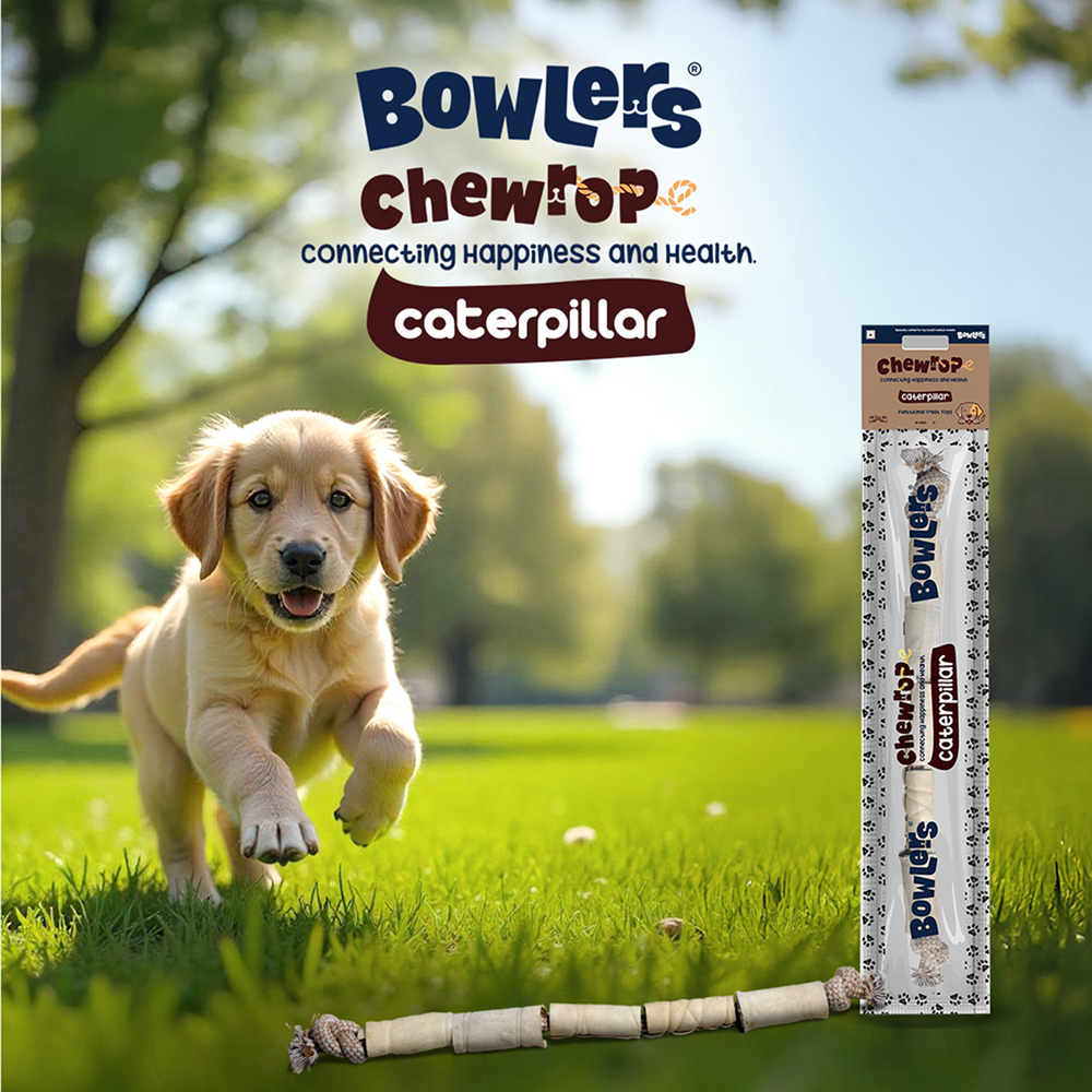 Bowlers Chewrope Caterpillar Functional Dog Treats Dog Treats + Others Bowlers