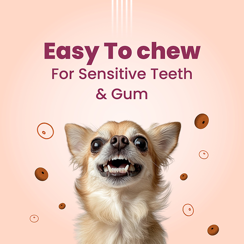 Bark Out Loud Chicken Rings Soft Chews Dog Treats Dog Treats + Others Bark Out Loud