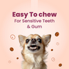 Bark Out Loud Chicken Rings Soft Chews Dog Treats Dog Treats + Others Bark Out Loud