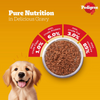 Pedigree Chicken and Liver Chunks in Gravy Pouch Puppy Dog Wet Food (130g)