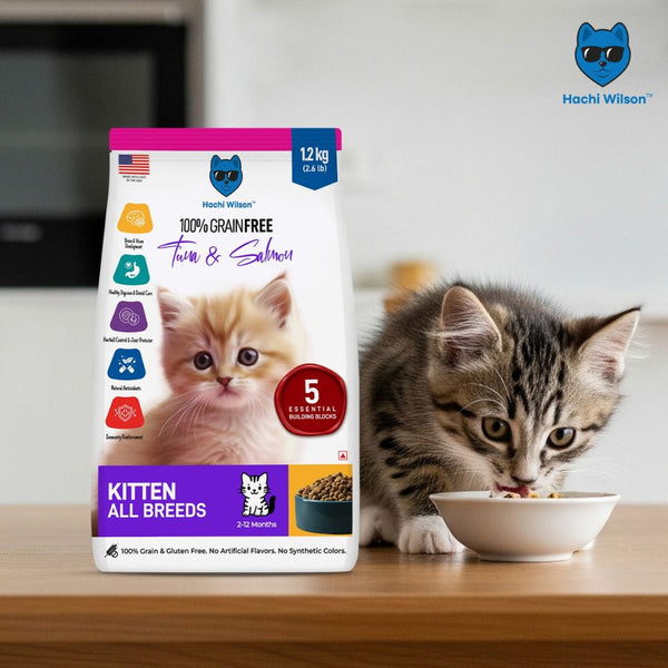 Hachi Wilson Premium Tuna and Salmon Kitten Dry Food