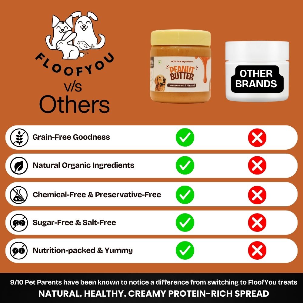FloofYou Unsweetened & Natural Peanut Butter Dog Treats Dog Treats + Others FloofYou