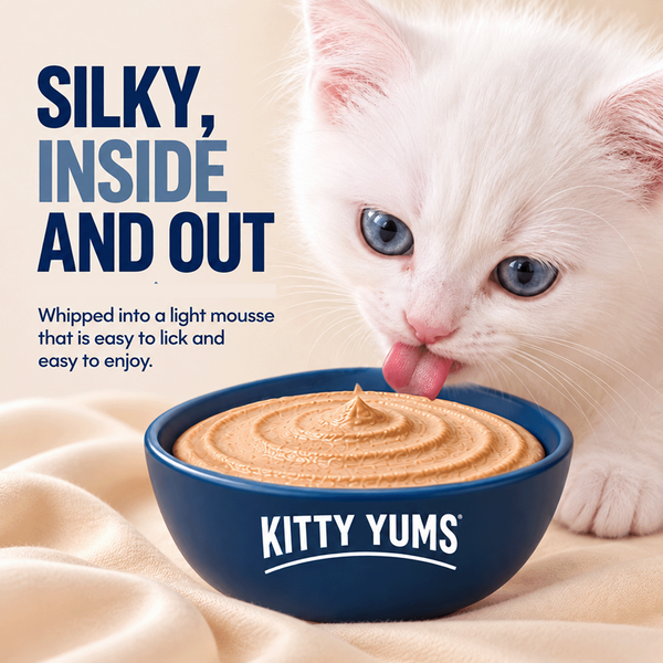Kitty Yum Chicken Mousse Kitten Cat Wet Food