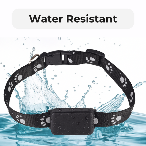 FeTaca Smart 4G GPS 850mAh Waterproof Mini Collar Tracker with 12months Free Tracking & App Subscription for Dogs and Cats (Black)