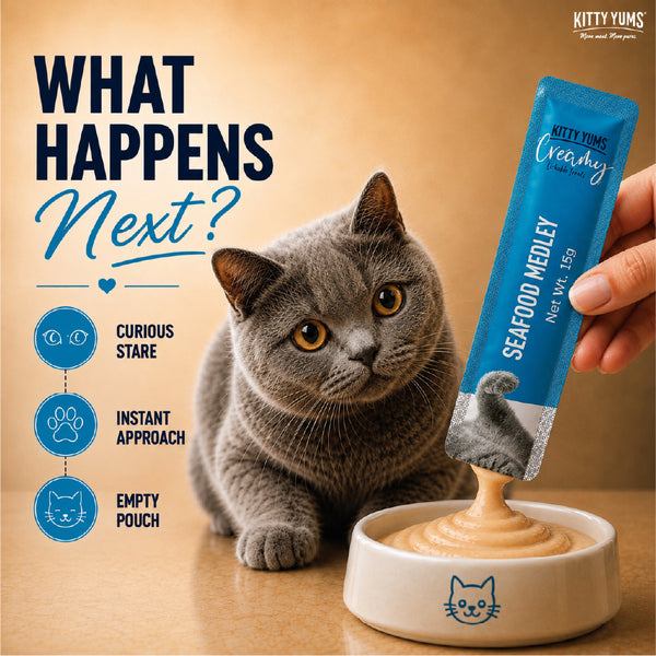 Kitty Yums Seafood Medley Creamy Cat Treat