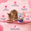 Purrfeto Tuna Recipe in Jelly Adult Cat Wet Food Cats-Wet Food Purrfeto
