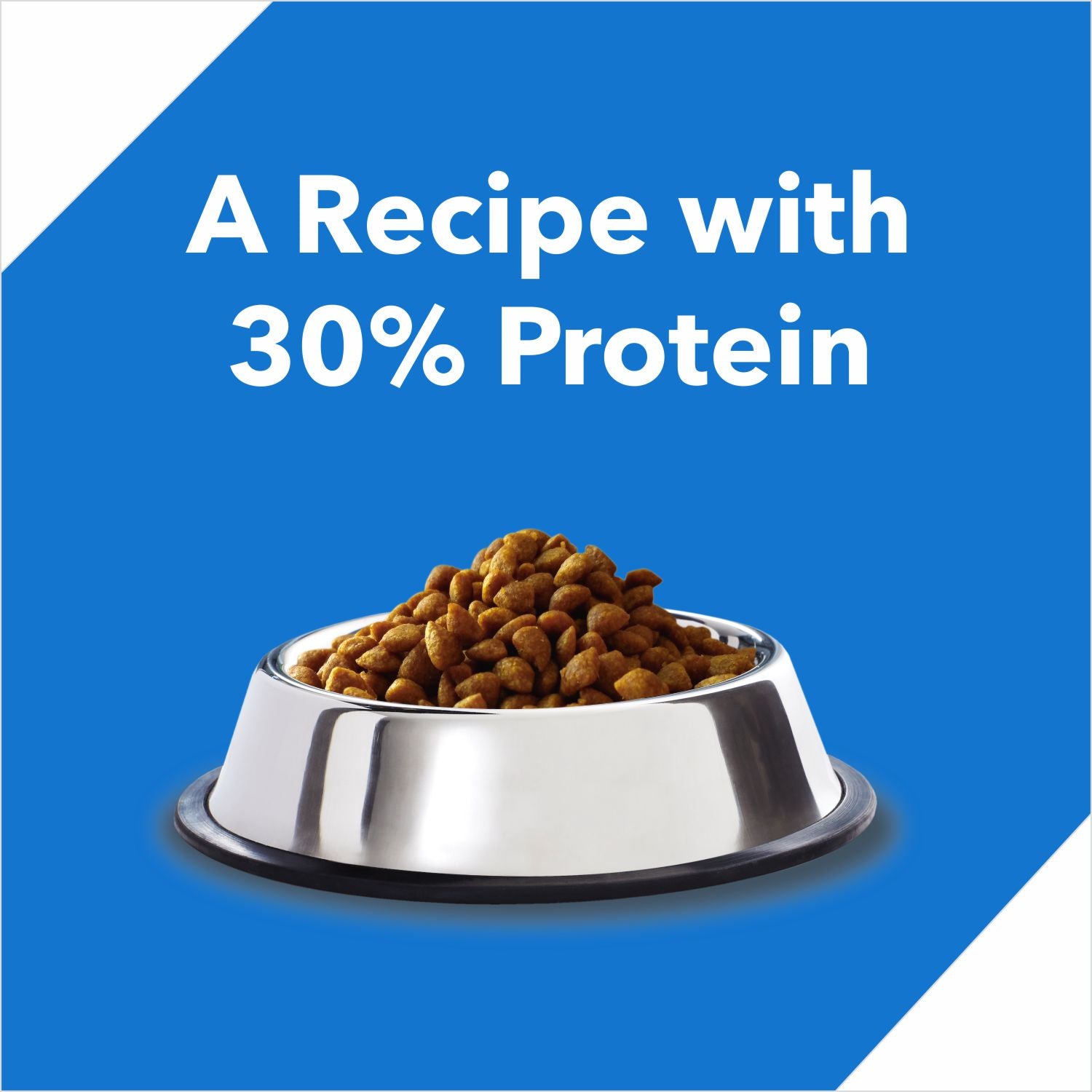 Drools Ocean Fish Kitten Cat Dry Food Cats- Dry food Drools