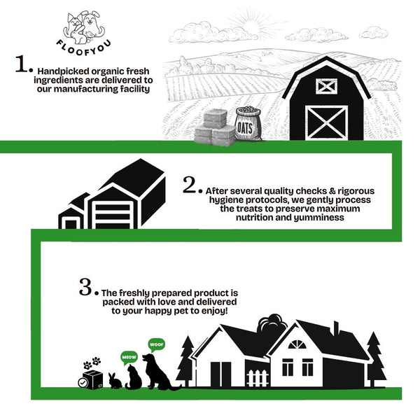 FloofYou Oven Baked Timothy Hay Small Animals Treat