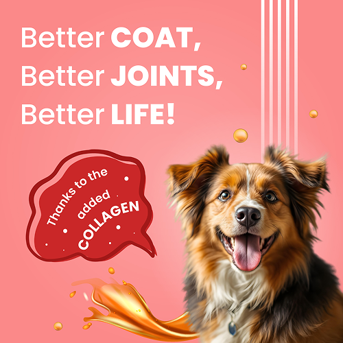 Bark Out Loud Collagen Protein Bar Chicken & Fish Treat for Dogs Dog Treats + Others Bark Out Loud