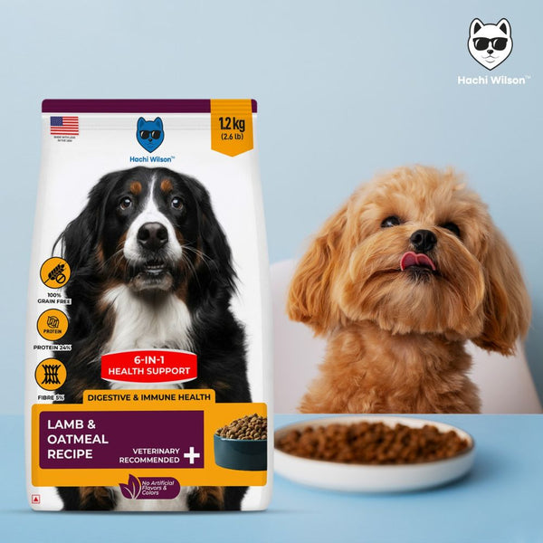 Hachi Wilson Premium Lamb & Oatmeal Dog Dry Food