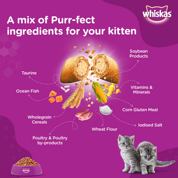 Whiskas Ocean Fish and Tuna in Jelly Kitten Dry and Wet Food Combo