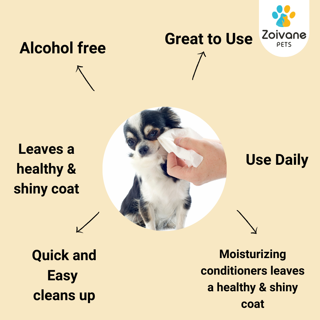 Zoivane Wet Wipes for Dogs and Cats Both-Grooming Supplies Zoivane