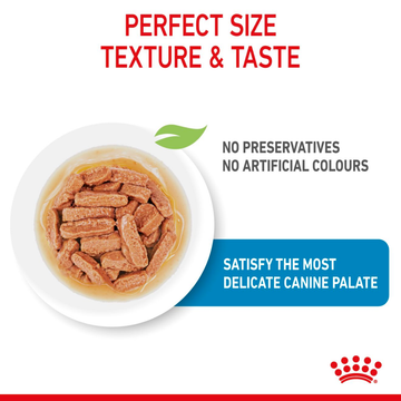 Royal Canin Medium Puppy Dog Wet Food