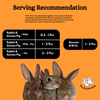 FloofYou Oven Baked Carrot Pumpkin Small Animal Treats Rabbits FloofYou