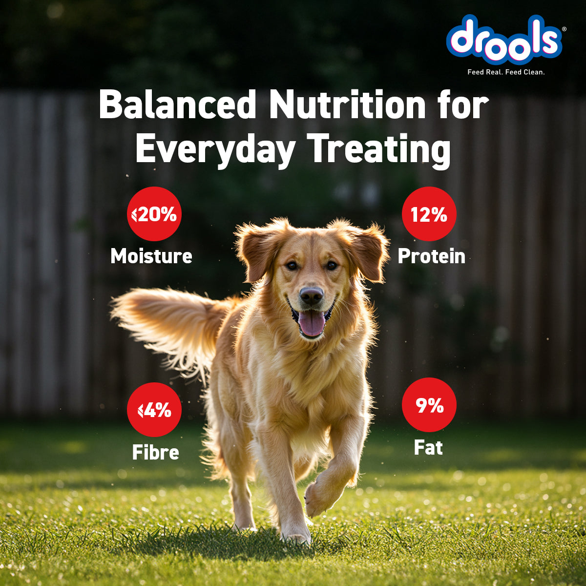 Drools Strawberry Flavour Chicken Sticks Treat for Dogs Dog Treats + Others Drools