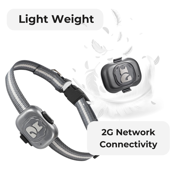 FeTaca G16 Smart 4G GPS Waterproof Mini Collar Tracker with Free 12 Month Tracking & App Subscription for Dogs and Cats (Grey)