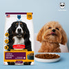 Hachi Wilson Premium Lamb & Oatmeal Dog Dry Food Dogs- Dry Food Hachi Wilson