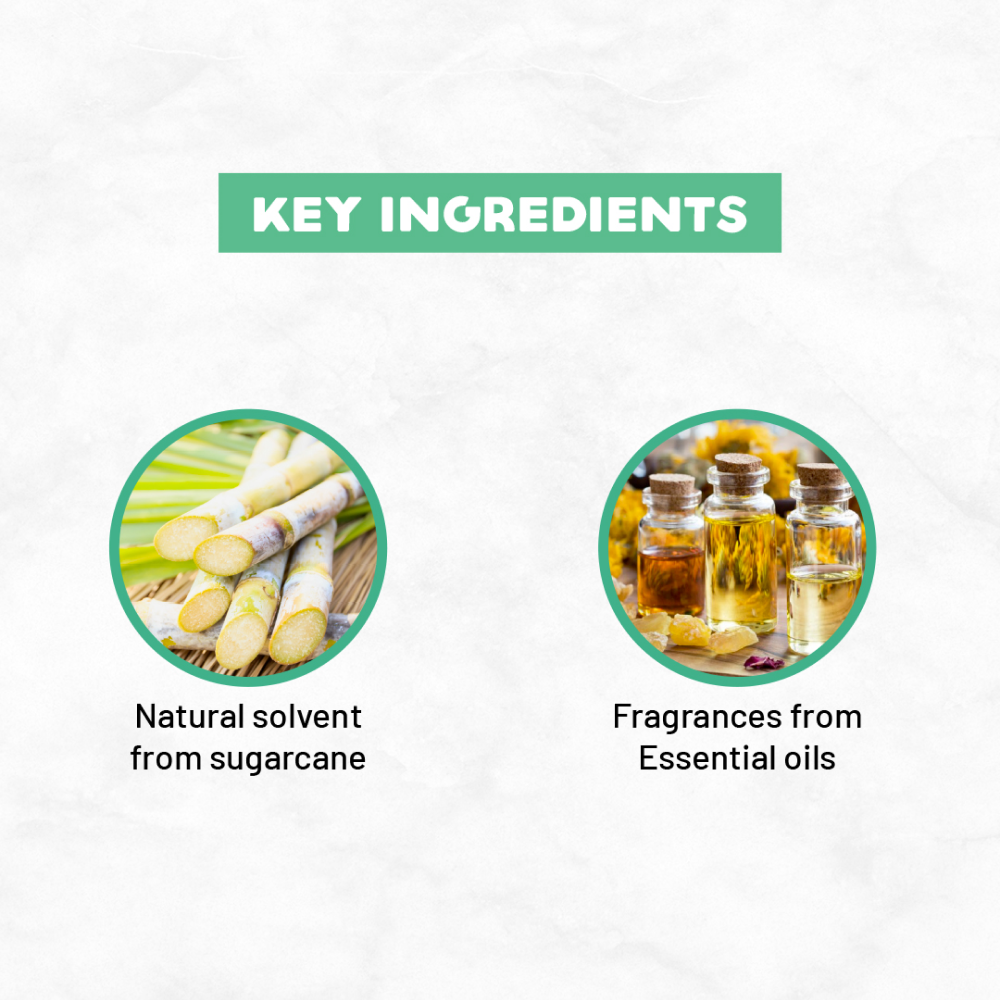 Born Good Plant Based Biodegradable and Non Toxic Air freshener Spray for Home and Office Both-Health & Wellness Born Good