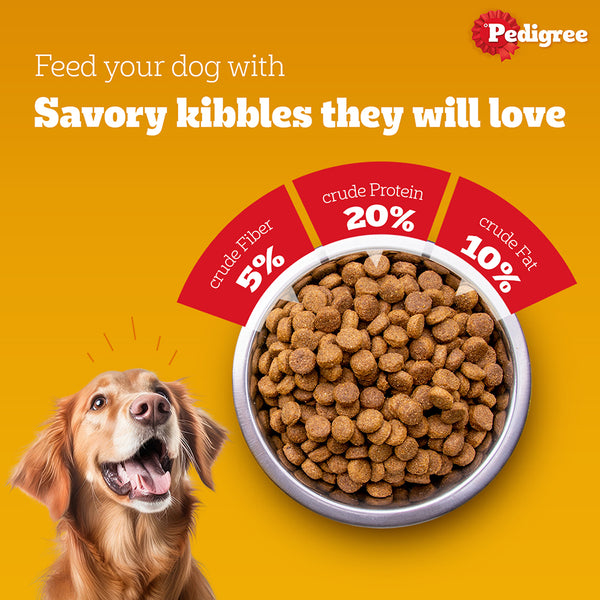 SKATRS Anti Skid Stainless Steel Bowl and Pedigree Chicken and Vegetables Adult Dry Dog Food Combo