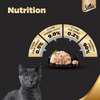 Sheba Tuna Fillet & Whole Prawns in Gravy Premium Cat Wet Food Cats-Wet Food Sheba
