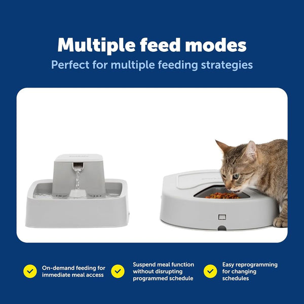 PetSafe 5 Meal Automatic Pet Feeder for Dogs and Cats