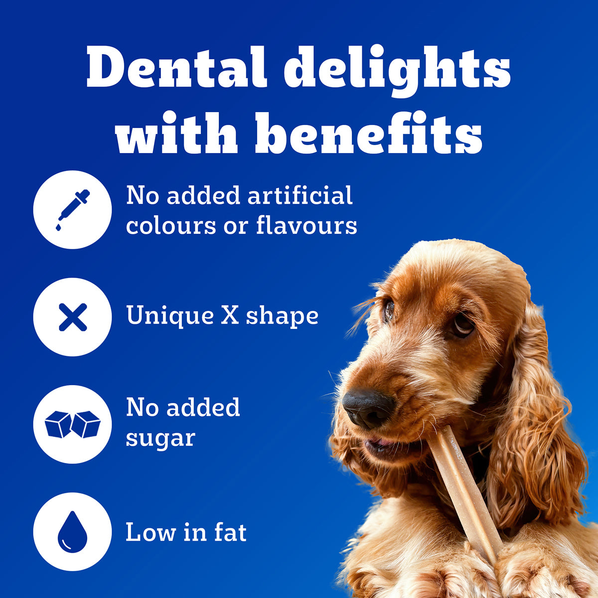 Pedigree Dentastix Oral Care for Adult (Small Breed of 5 to 10 kg) Dog Treats Dog Treats + Others Pedigree
