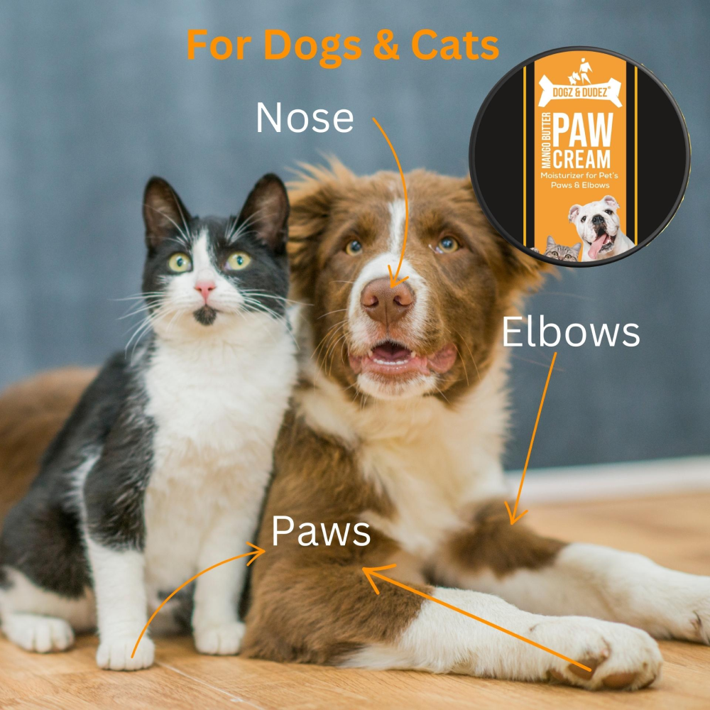 DOGZ & DUDEZ Mango Butter Paw Cream for Dogs and Cats Both-Grooming Supplies DOGZ & DUDEZ