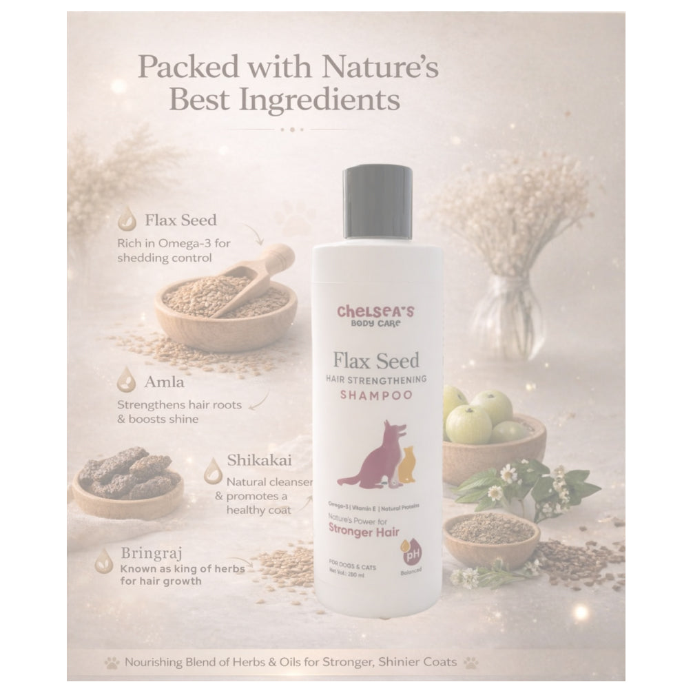 Dr. Chelsea’s Flax Seed Hair Strengthening Shampoo for Dogs & Cats Both-Grooming Supplies Dr. Chelsea's Dropship