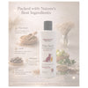 Dr. Chelsea’s Flax Seed Hair Strengthening Shampoo for Dogs & Cats Both-Grooming Supplies Dr. Chelsea&