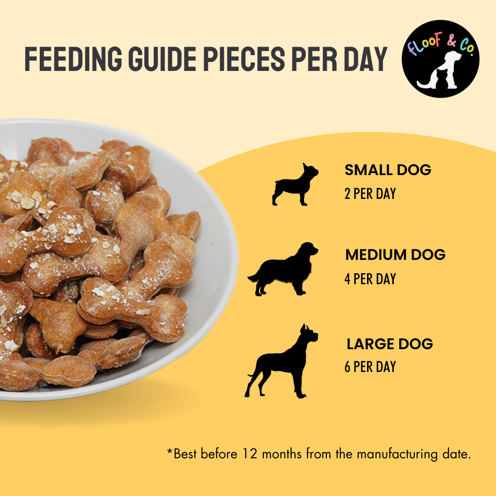 Floof & Co Classic Chicken Cheese Dog Treats (Buy 1 Get 1) Dog Treats + Others Floof & Co