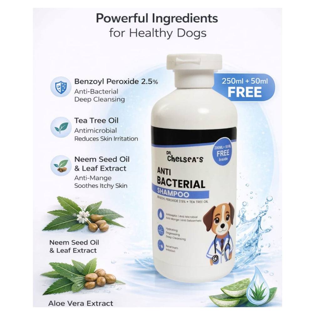 Dr. Chelsea’s Anti Bacterial Shampoo for Dogs & Cats Both-Grooming Supplies Dr. Chelsea's Dropship